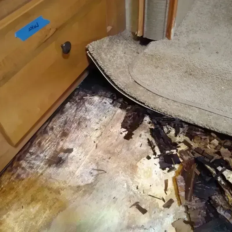 Best Wood Floor Water Damage Service in Albemarle, NC